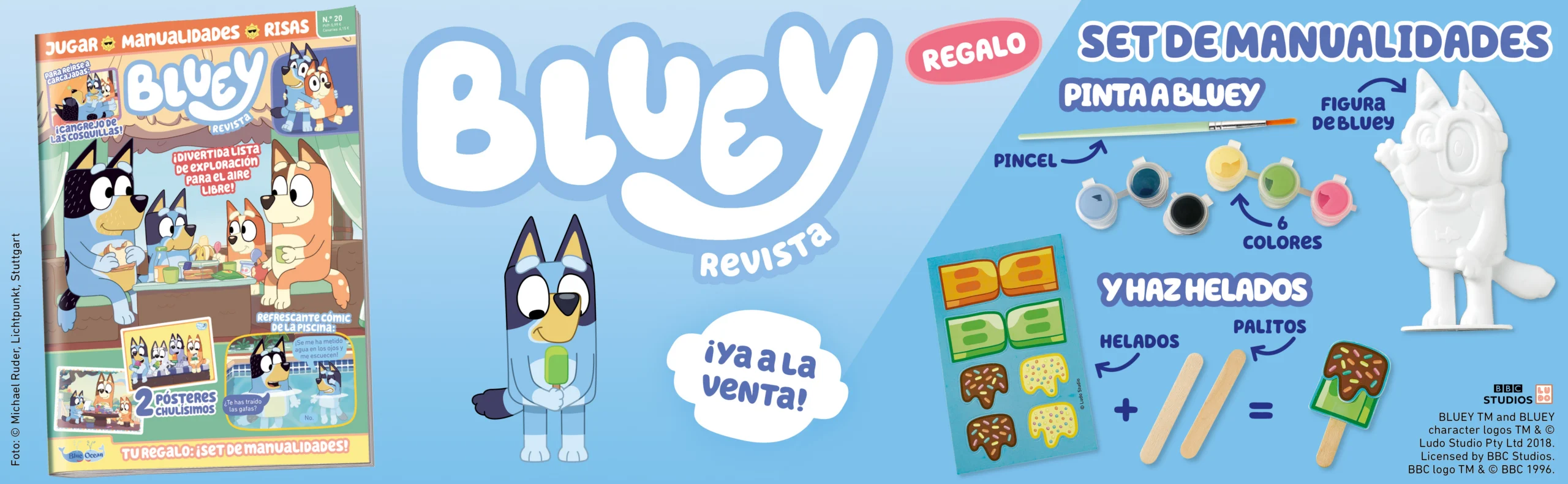 Banner BLUEY 2620 scaled