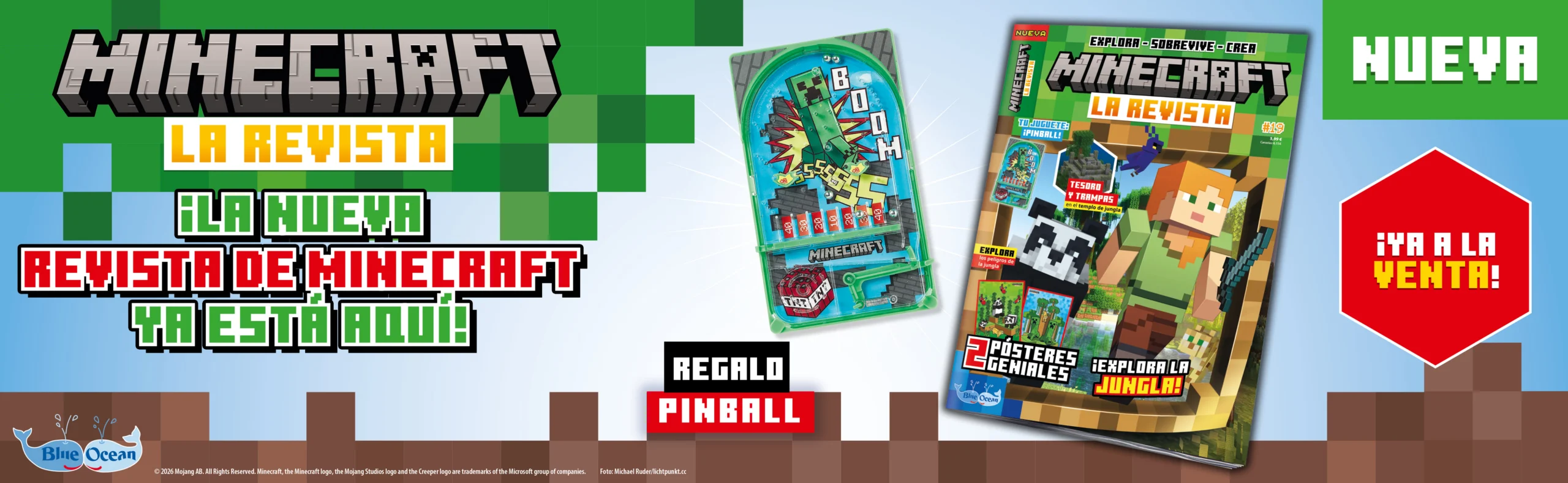 Banner MINECRAFT 19 scaled