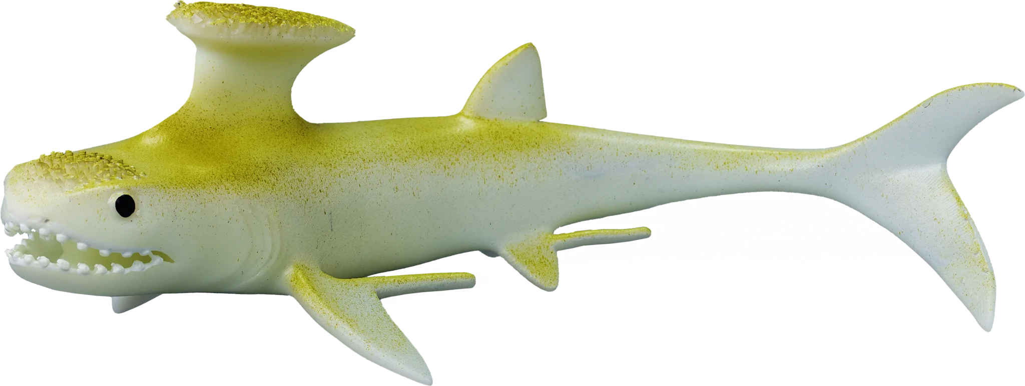 07 Akmoniston zangerli 3