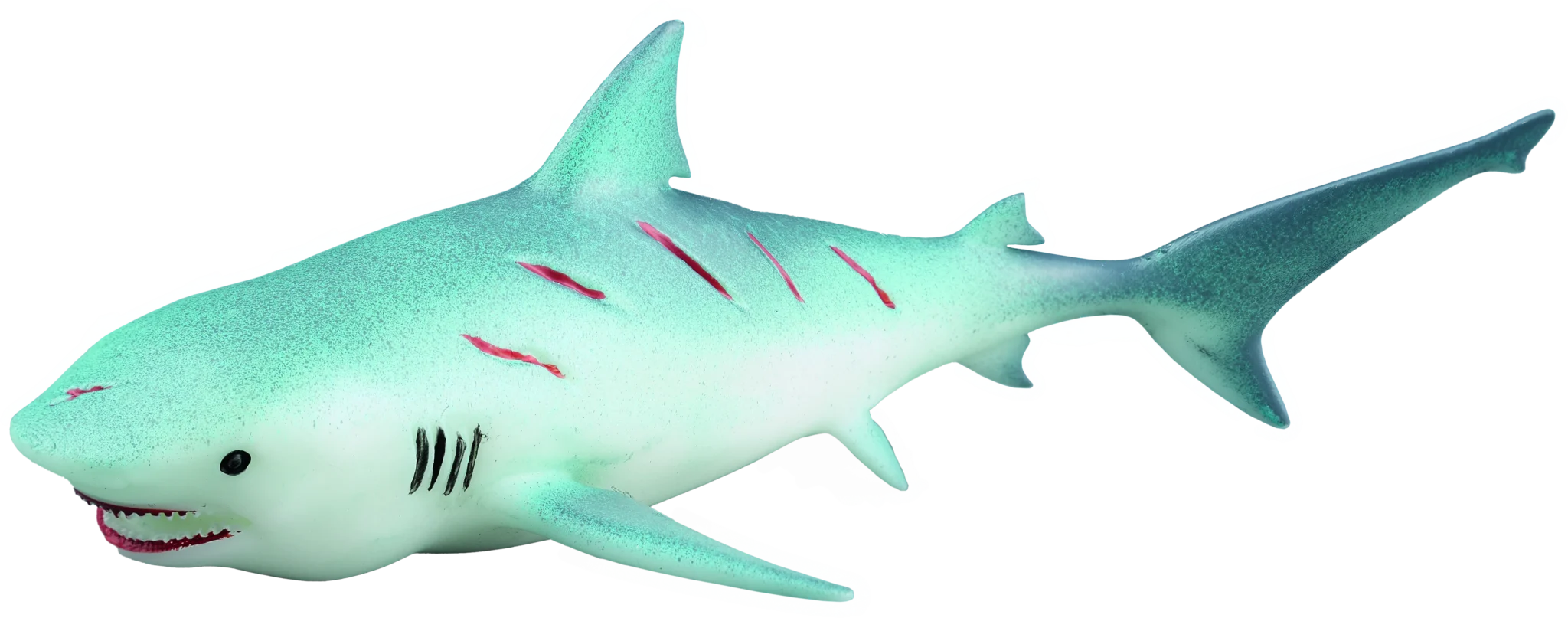 11 Bullshark 90012 3