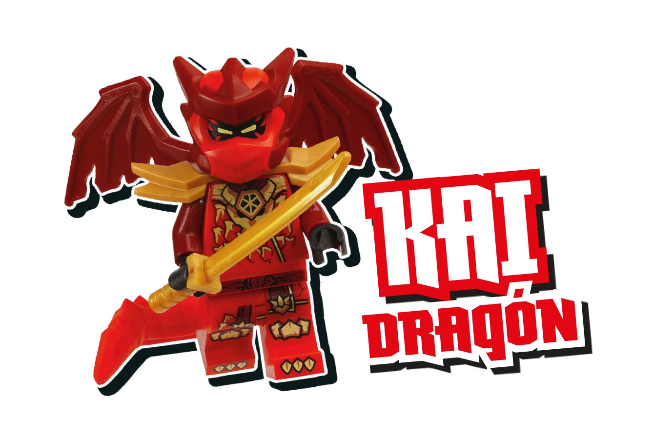 LEGO® NINJAGO® Regalo 81