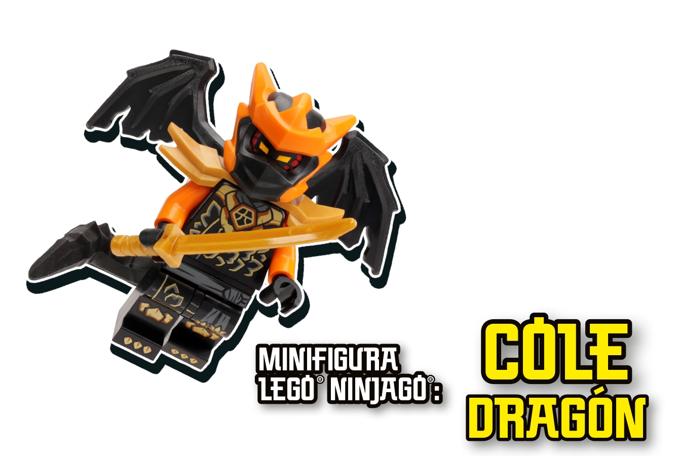 LEGO® NINJAGO® Regalo 82