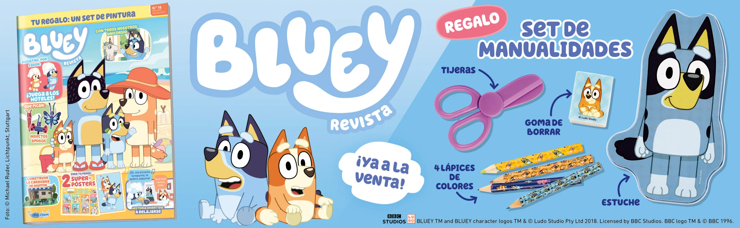 Banner BLUEY 2618 scaled