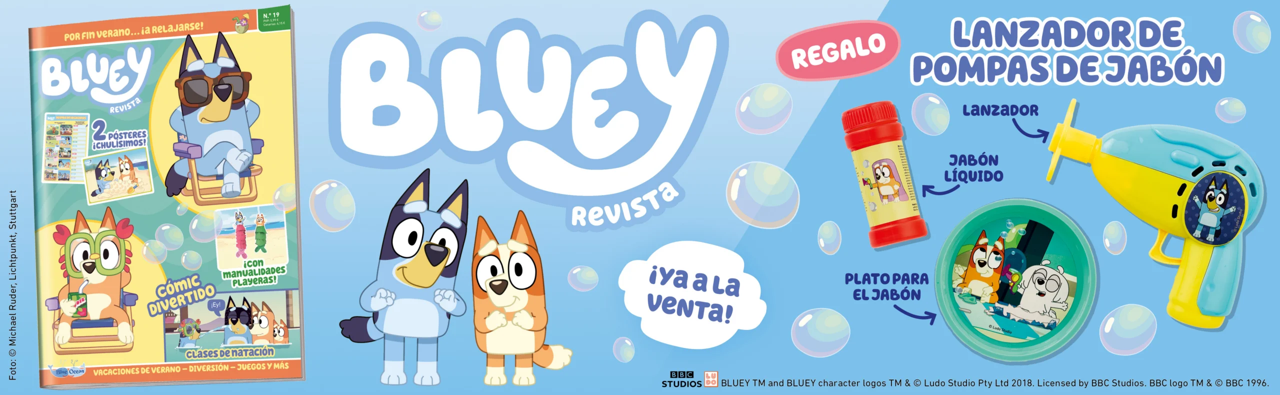 Banner BLUEY 2619 scaled