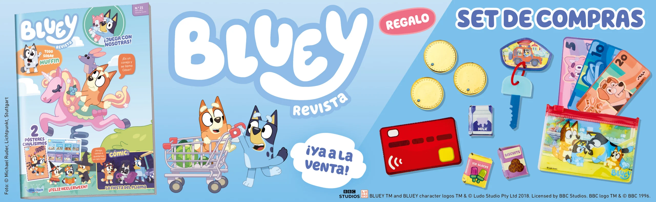 Banner BLUEY 2621 scaled