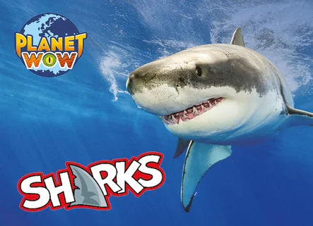 Planet WOW Colecciones