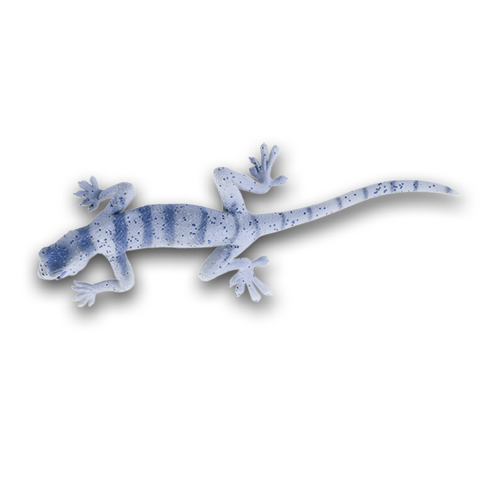geckos_2_planet_wow_geco_araña_persa