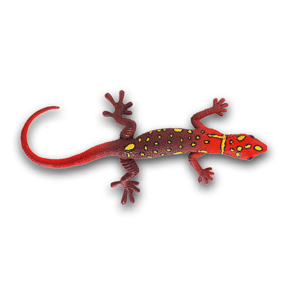 geckos_2_planet_wow_geco_brillante_sudamericano