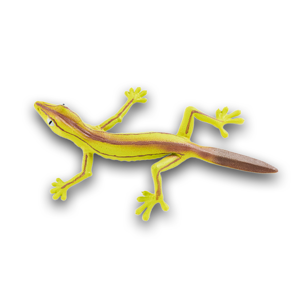 geckos_2_planet_wow_geco_cola_hoja_rayada