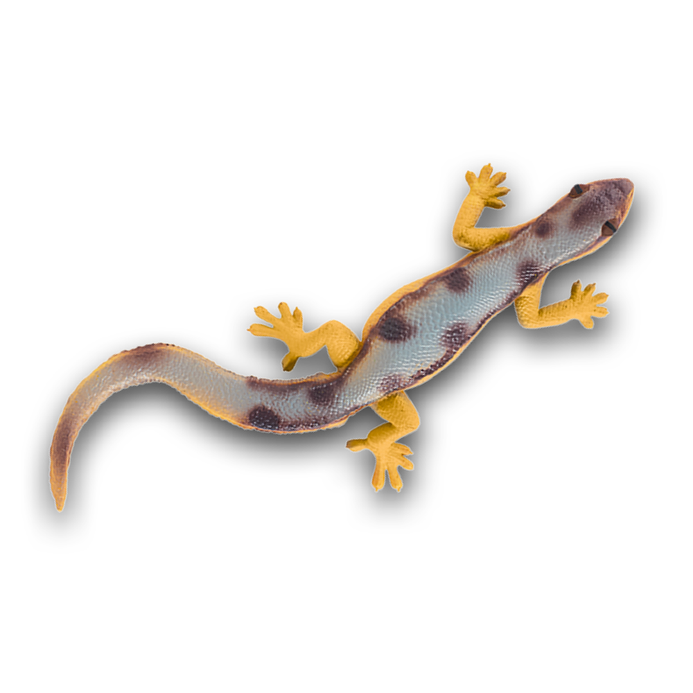geckos_2_planet_wow_geco_cola_plana