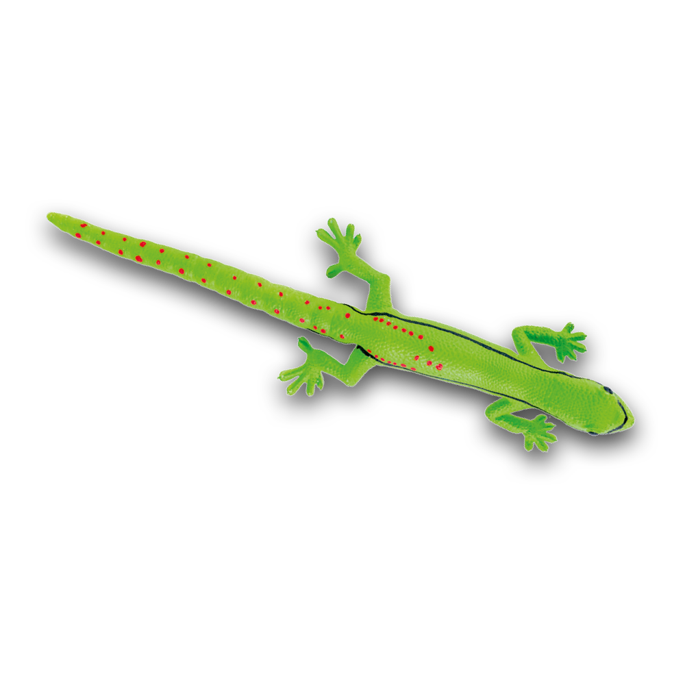 geckos_2_planet_wow_geco_diurno_Mayotte