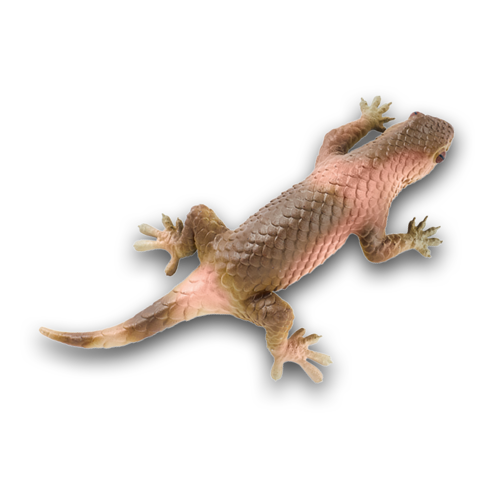 geckos_2_planet_wow_geco_escama_gruesa