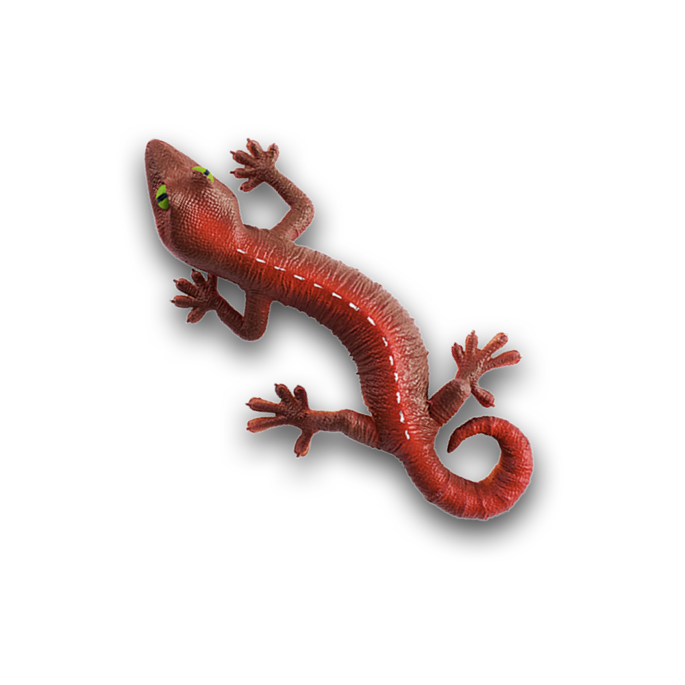 geckos_2_planet_wow_geco_felino
