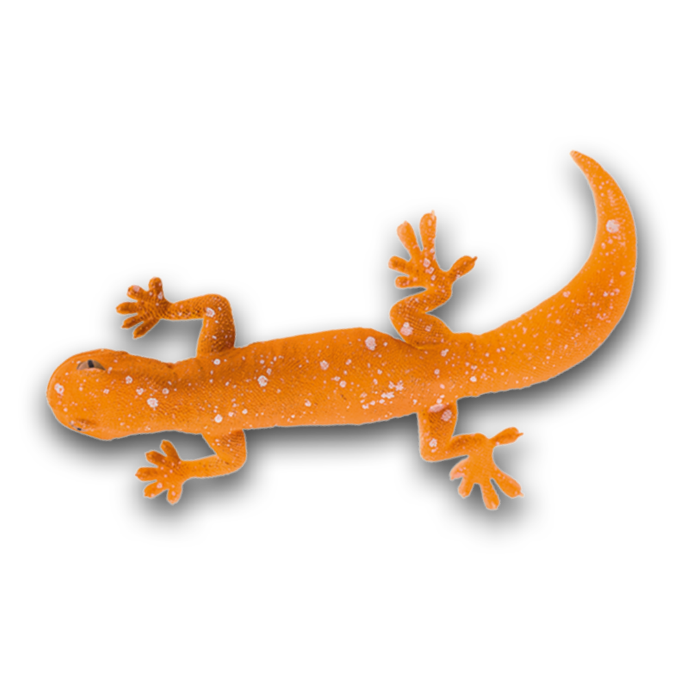 geckos_2_planet_wow_geco_ladrador