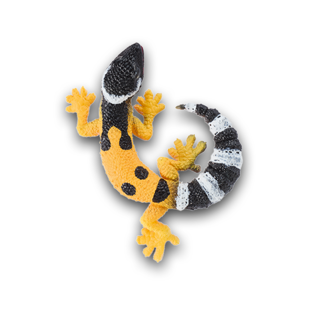geckos_2_planet_wow_geco_leopardo