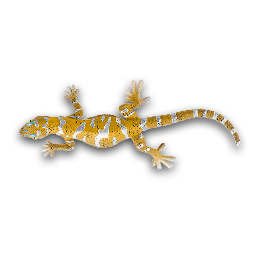 geckos_2_planet_wow_geco_roca_transvaal