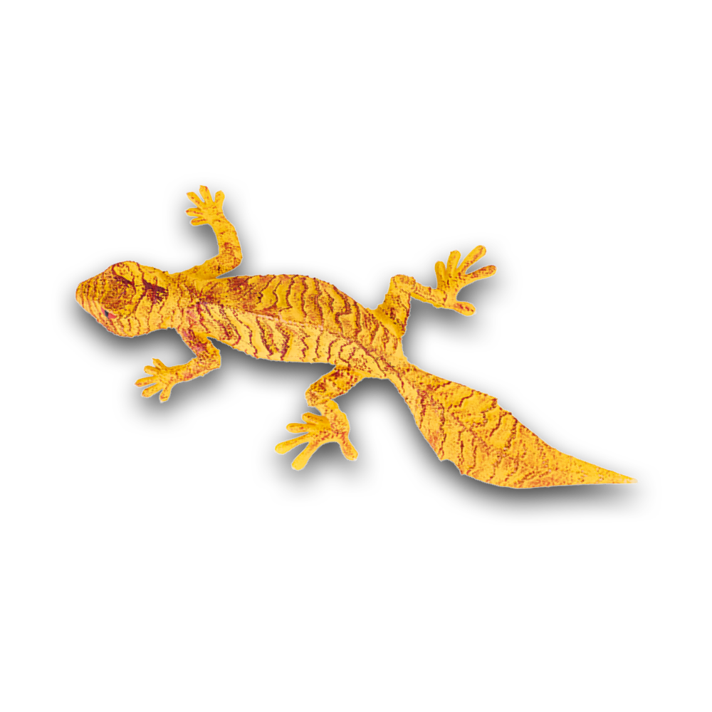 geckos_2_planet_wow_geco_satánico