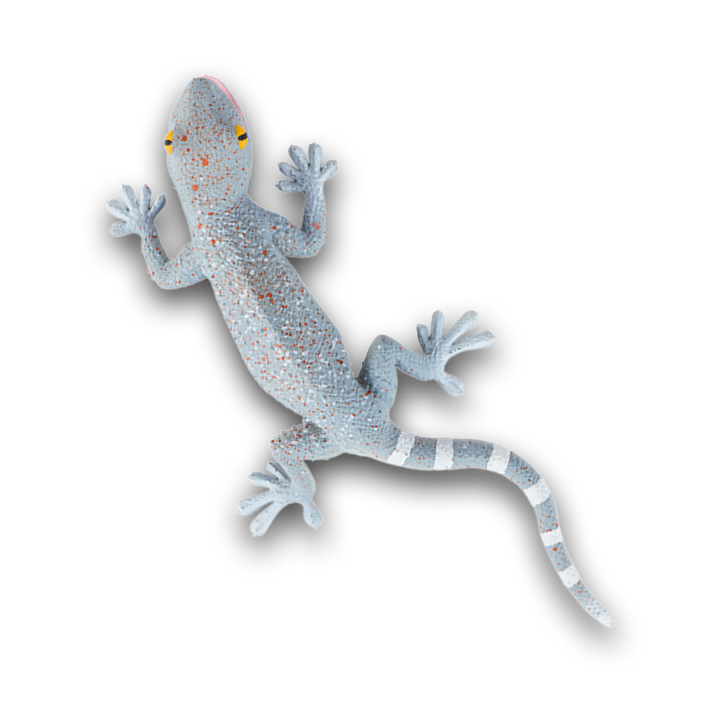 geckos_2_planet_wow_geco_tokay