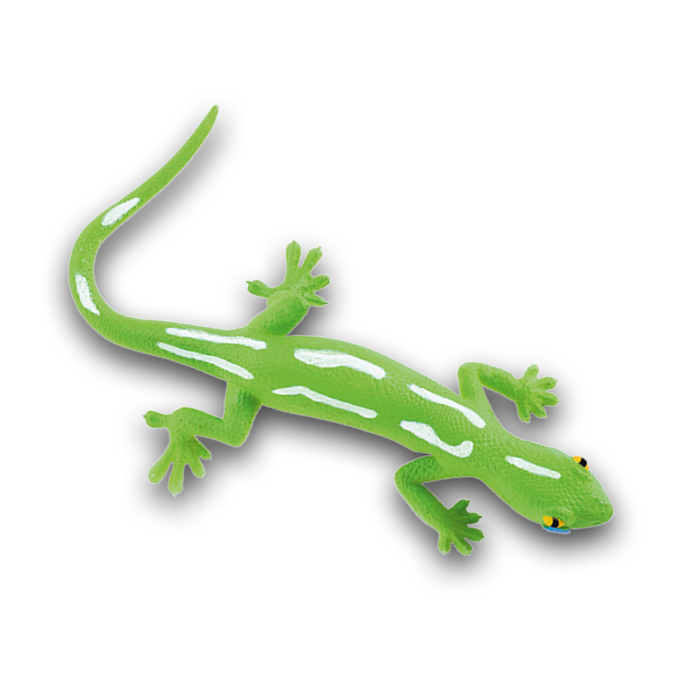 geckos_2_planet_wow_geco_verde_wellington